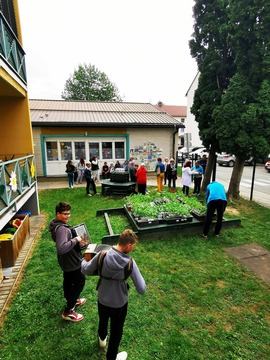 Zelenjavne sadike in projekt »Varno in spodbudno učno okolje« (3)